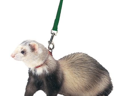 Marshall Pet Products Ferret Harness and Lead Set Black 1ea Sale