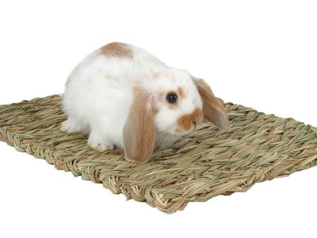 Marshall Pet Products Woven Grass Mat for Small Animals Yellow 1ea For Discount