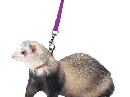 Marshall Pet Products Ferret Harness and Lead Set Purple 1ea Cheap